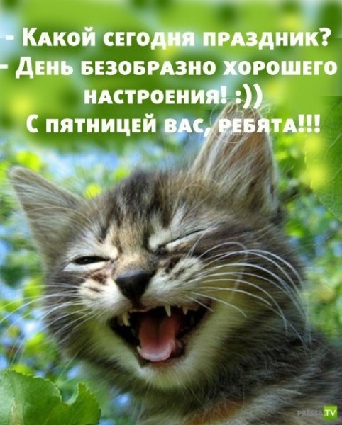 День безобразно хорошего настроения открытки