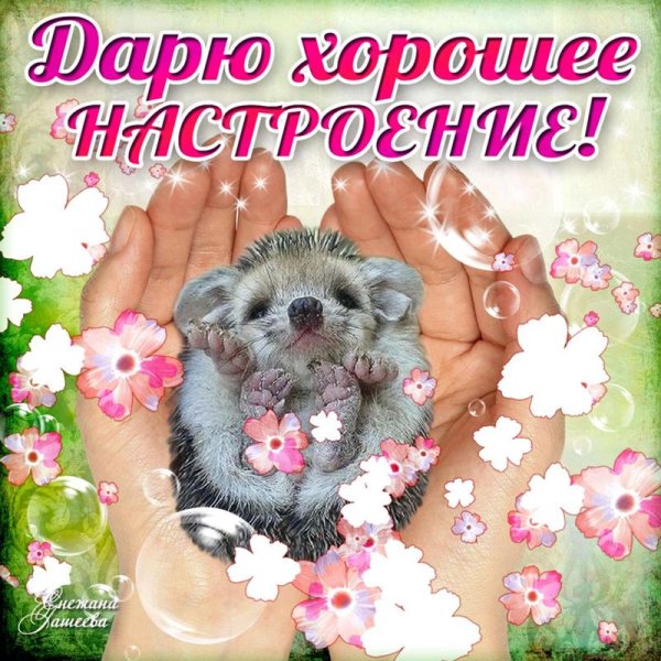 Открытка "хорошего настроения"