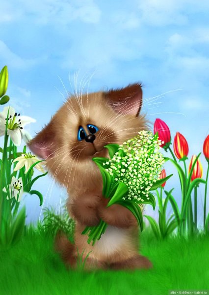 Коты Алексея Долотова