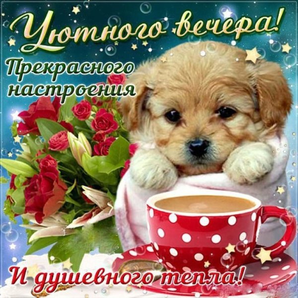 Хорошего вечера и отличного настроения