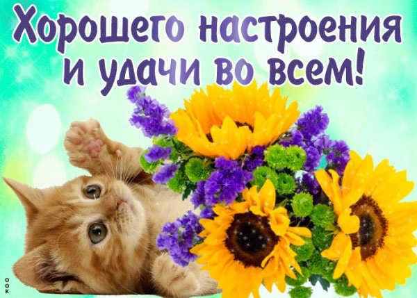 Желаю удачи и хорошего настроения