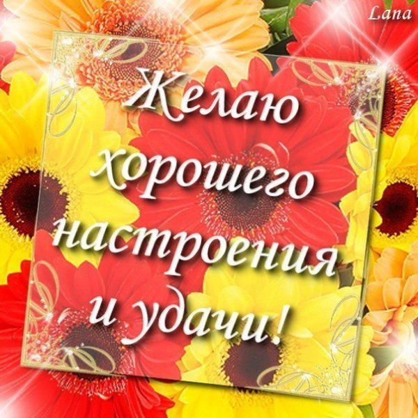 Удачи и хорошего настроения