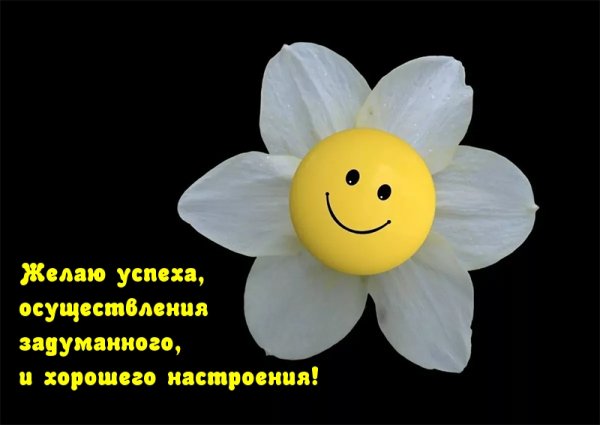 Доброго дня и прекрасного настроения