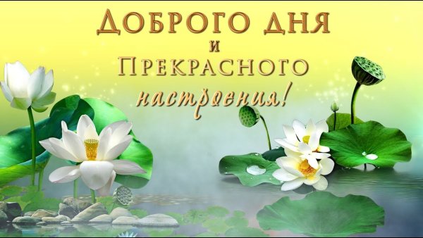 Открытки на каждый день