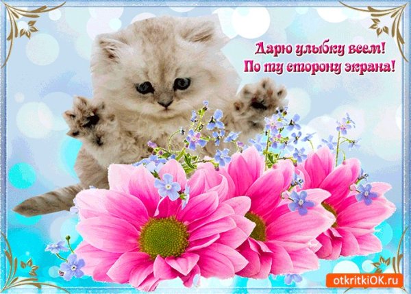 Открытки дарю улыбку