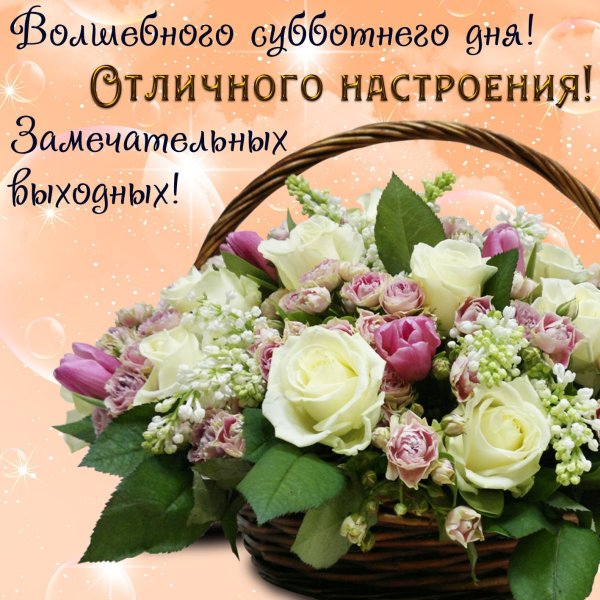 Хорошей субботы и отличного настроения