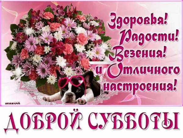 Хорошей субботы и отличного настроения