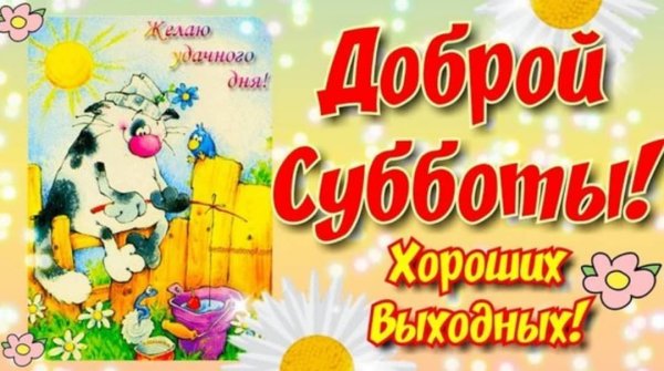 Хорошей субботы и отличного настроения