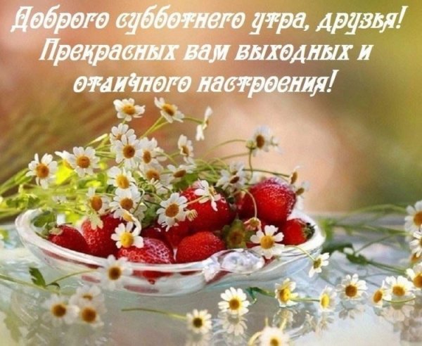 Сдобрым субьотним утром