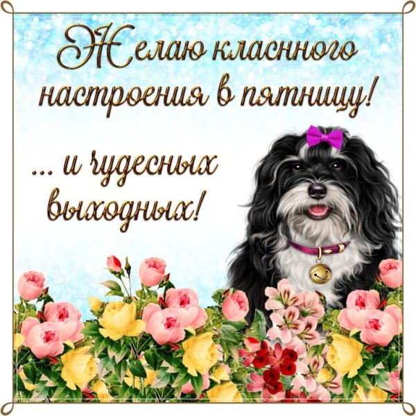 Открытки с пятницей