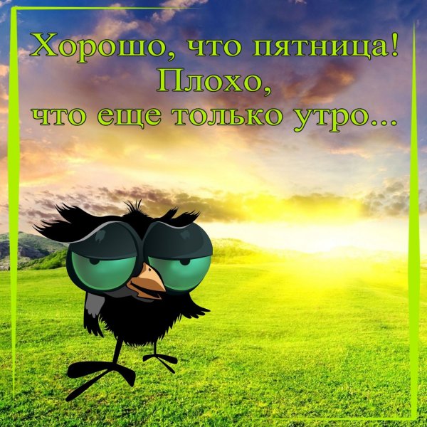 Открытки с добрым утром пятницы