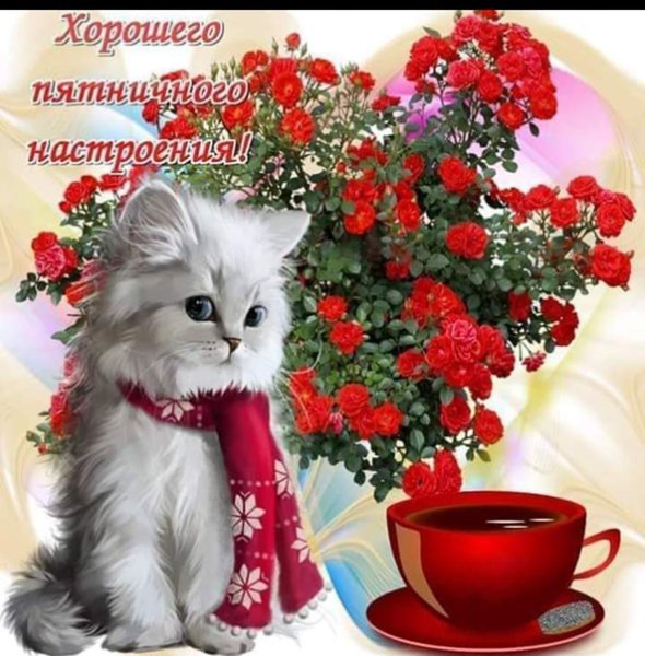 Отличного дня и прекрасного настроения красивые