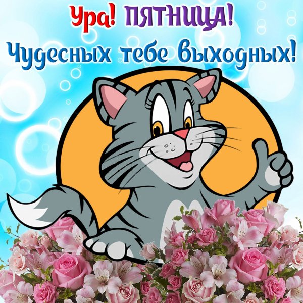 Поздравление с пятницей