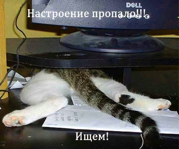 Настроение потерялось