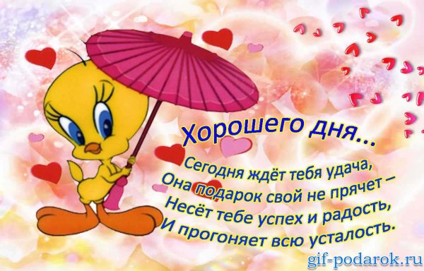 Поздравление с добрым днем