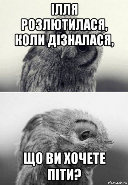 Любимый дай денежку