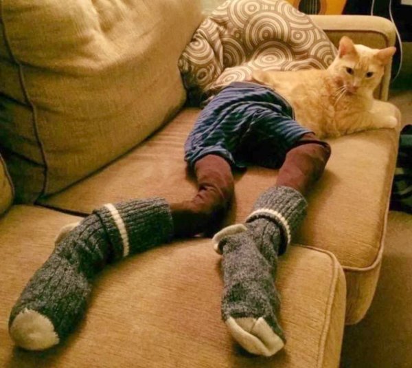 С нами стыдно зато весело