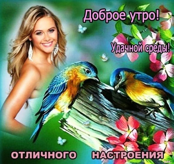 Прекрасной среды и отличного настроения