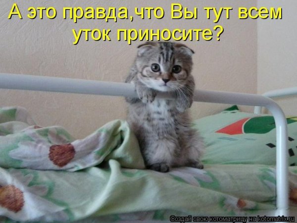 Смешное для поднятия настроения больному