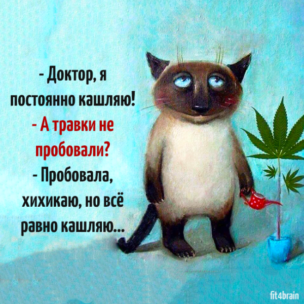 Открытки смешные для поднятия настроения с юмором