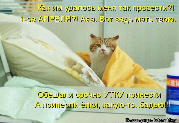 Смешное для поднятия настроения больному