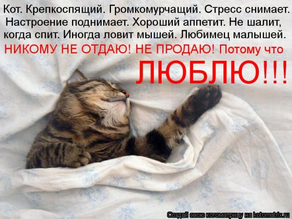 Болеющему человеку для поднятия настроения