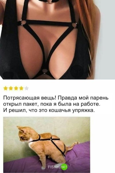 Весёлые картинки для поднятия настроения мужчине