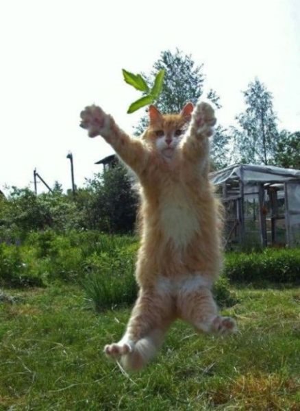 Позитивные надписи для поднятия настроения