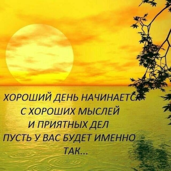 Умные высказывания на каждый день