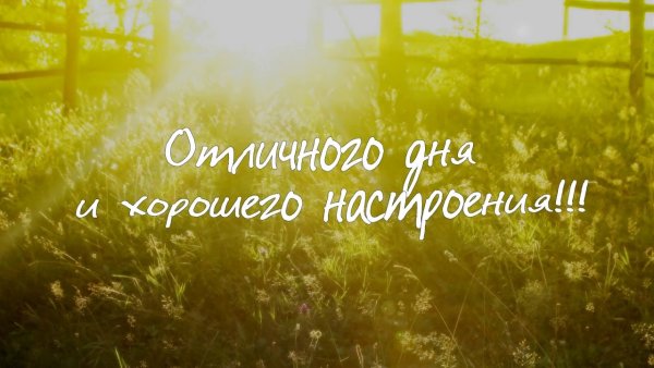 Доброго позитивного утра и удачного дня