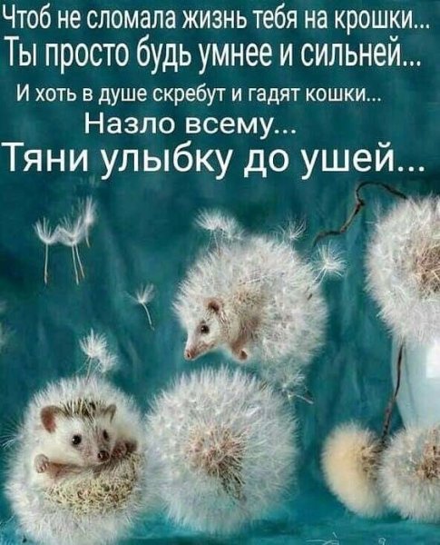 Позитивные цитаты
