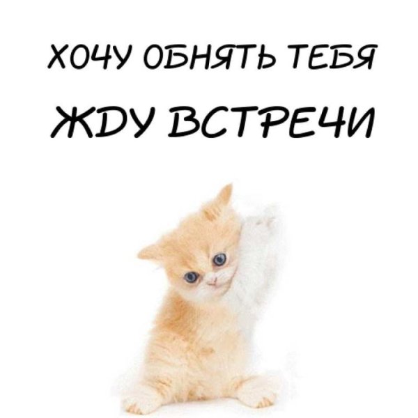Скучаю по тебе