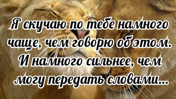 Осень сильно скучаю по тебе