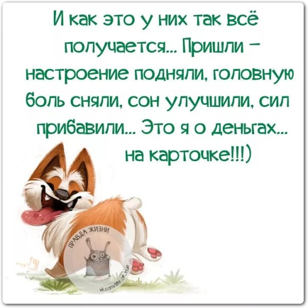 Смешные стишки для поднятия настроения