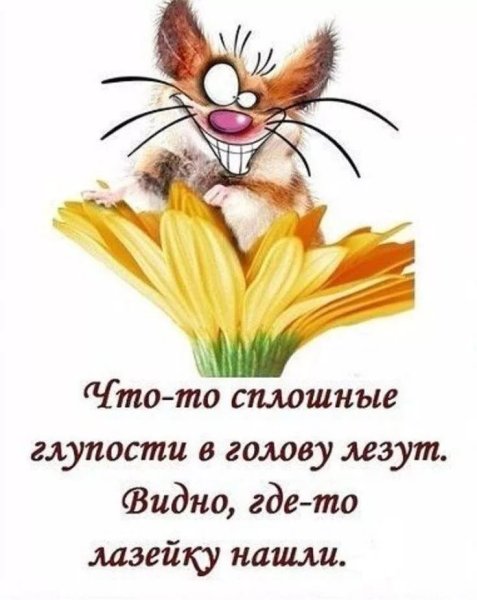Позитивные высказывания