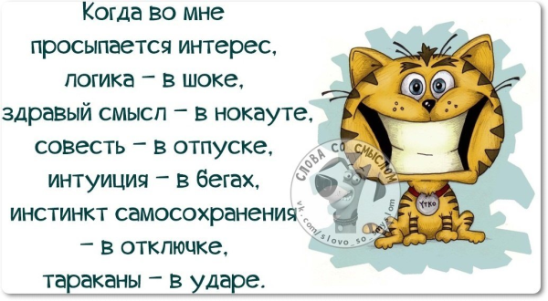 Статусы со смыслом прикольные