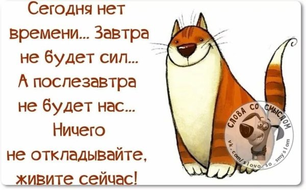 Цитаты о жизни с юмором
