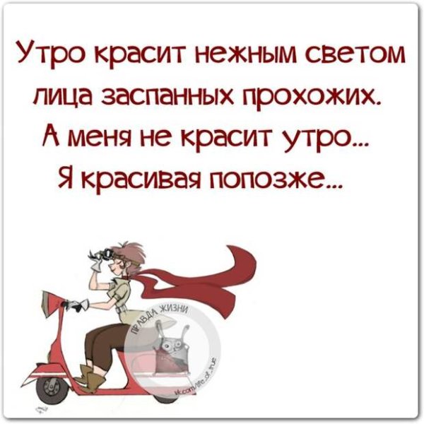 Прикольные фразочки в картинках