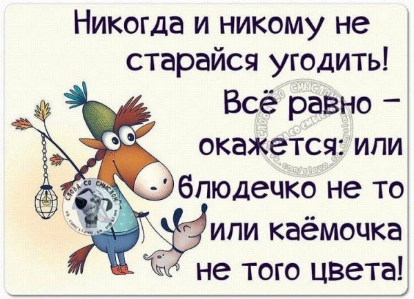 Веселые цитаты