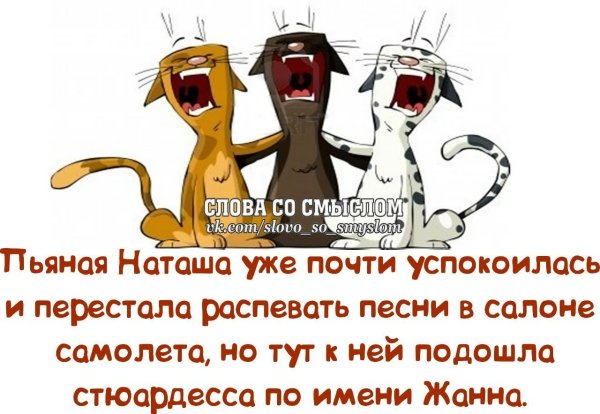Смешные цитаты со смыслом