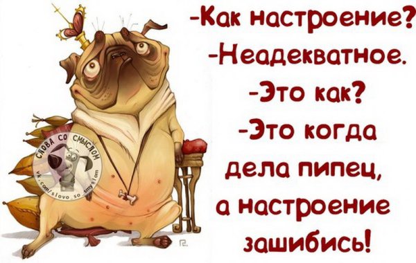 Настроение цитаты