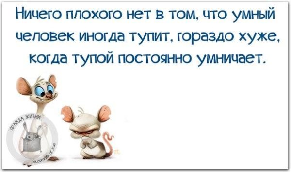 Смешные фразы для поднятия настроения