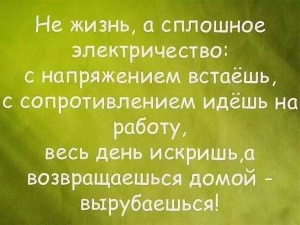 Высказывания о жизни с юмором