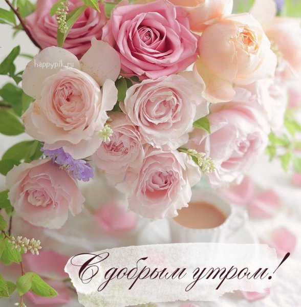 Приятные цветы