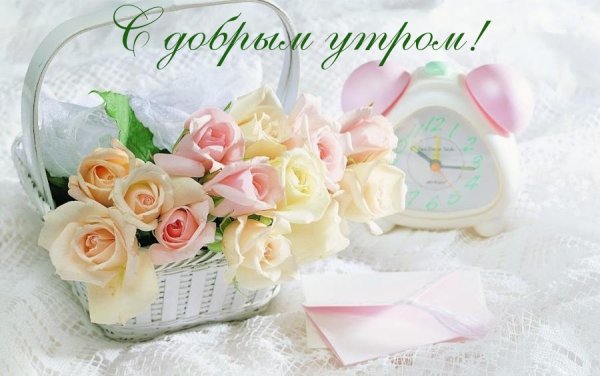 Доброе нежное утро