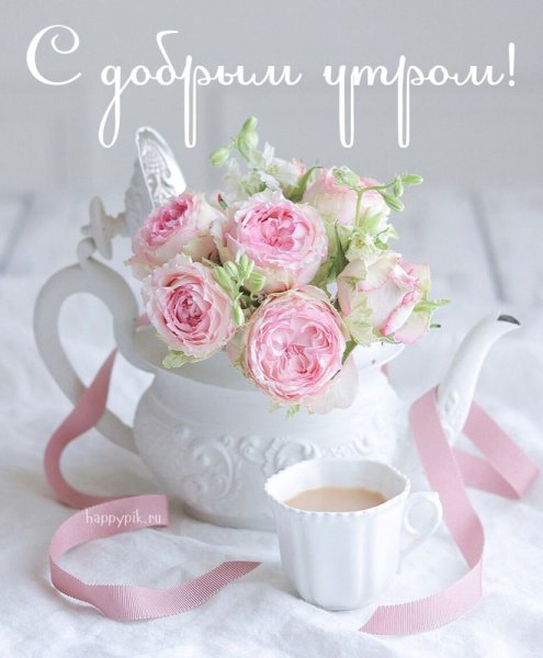 Красивые утренние цветы