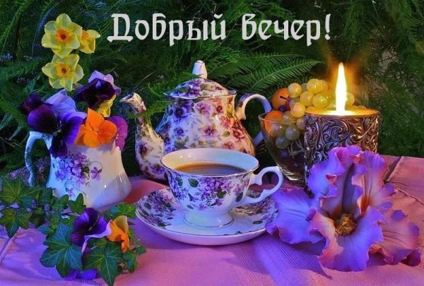 Вечерний чай цветы