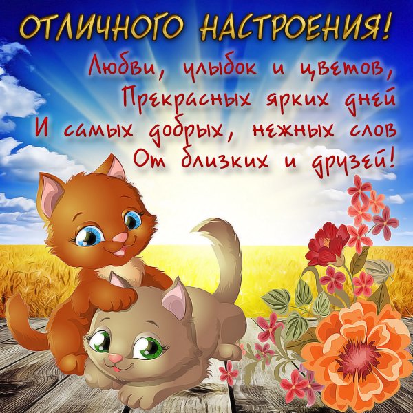 Открытки для настроения прикольные