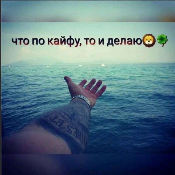 Цитаты по кайфу