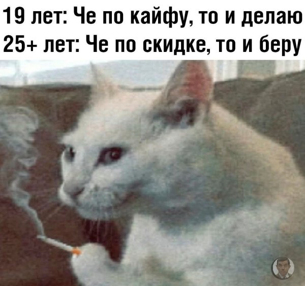 Чё по кайфу то и делаю